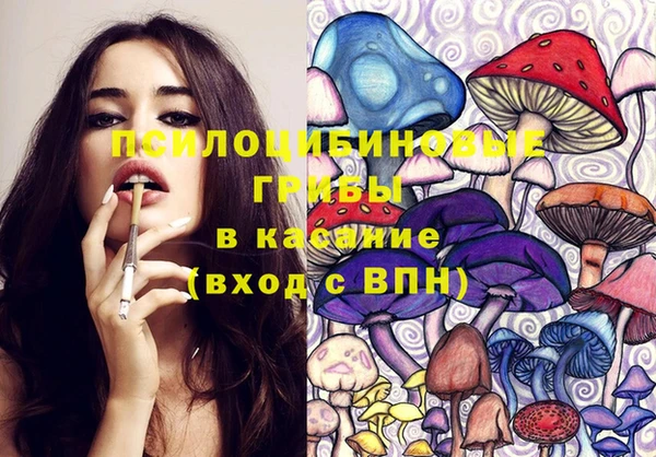 гашик Костерёво