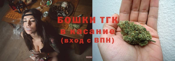 гашик Костерёво
