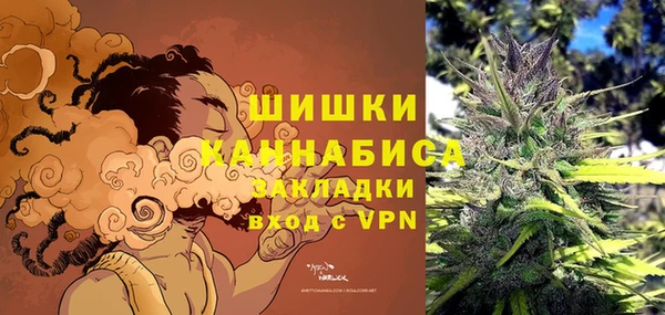 сатива Корсаков