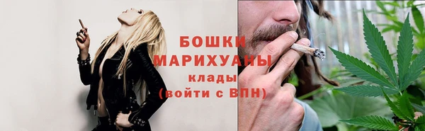 сатива Корсаков