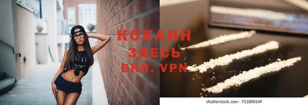 гашик Костерёво