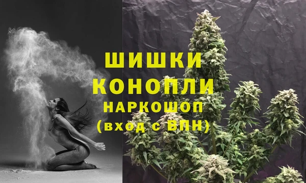 сатива Корсаков