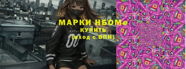 сатива Корсаков
