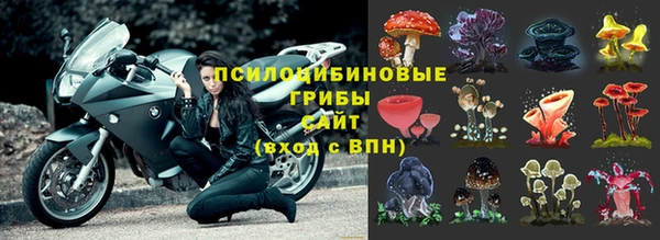 прущая мука Козельск