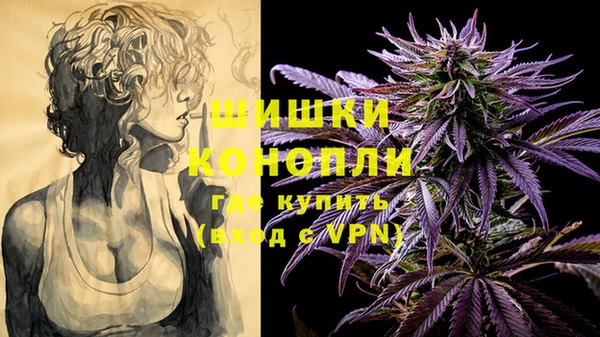 гашик Костерёво