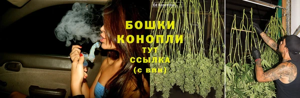 гашик Костерёво