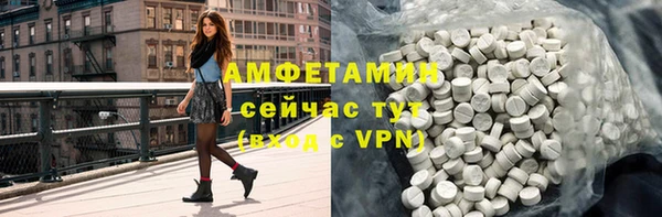 сатива Корсаков