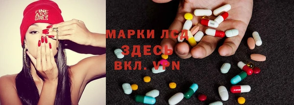гашик Костерёво