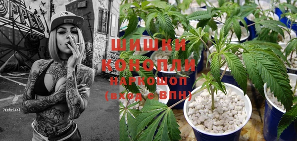 дурь Коряжма